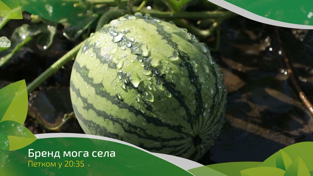 Brend moga sela ep. 244/245 16/23.08.2024. NAJAVA