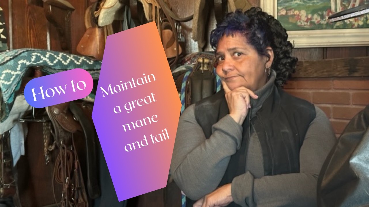 How to maintain your horse's mane and tail