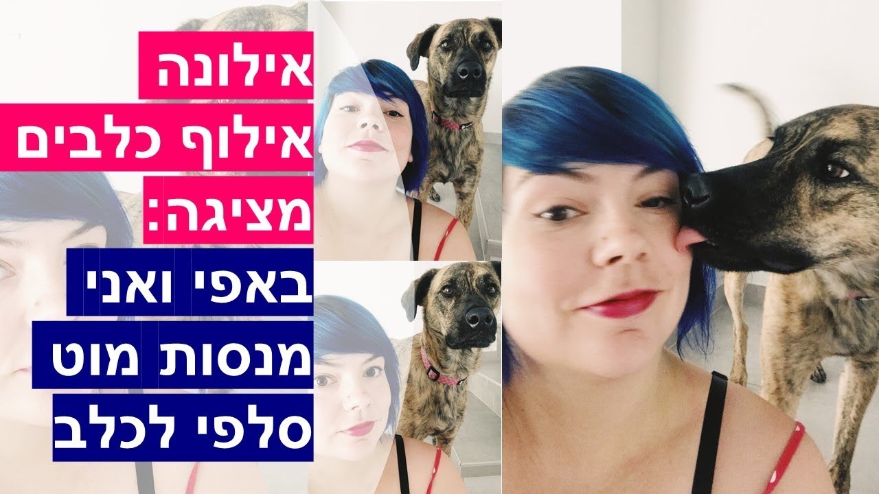 איך לצלם את הכלב או אני ובאפי ניסינו את מקל הסלפי המפורסם לכלב - אילונה אילוף כלבים