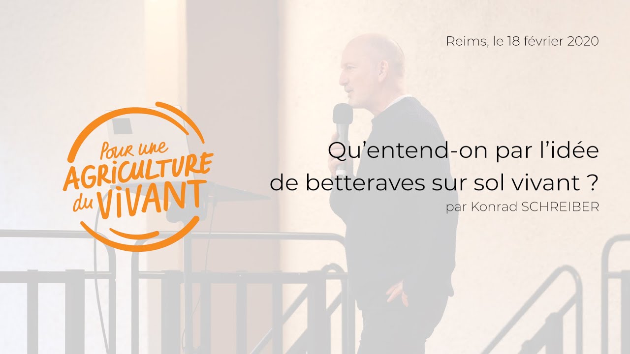 Des betteraves en agriculture de conservation, par Konrad Schreiber