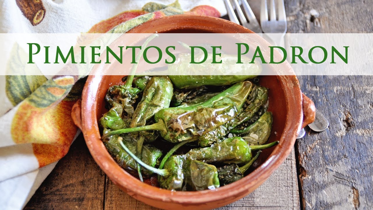 Blistered Padron Peppers - Pimientos de Padrón