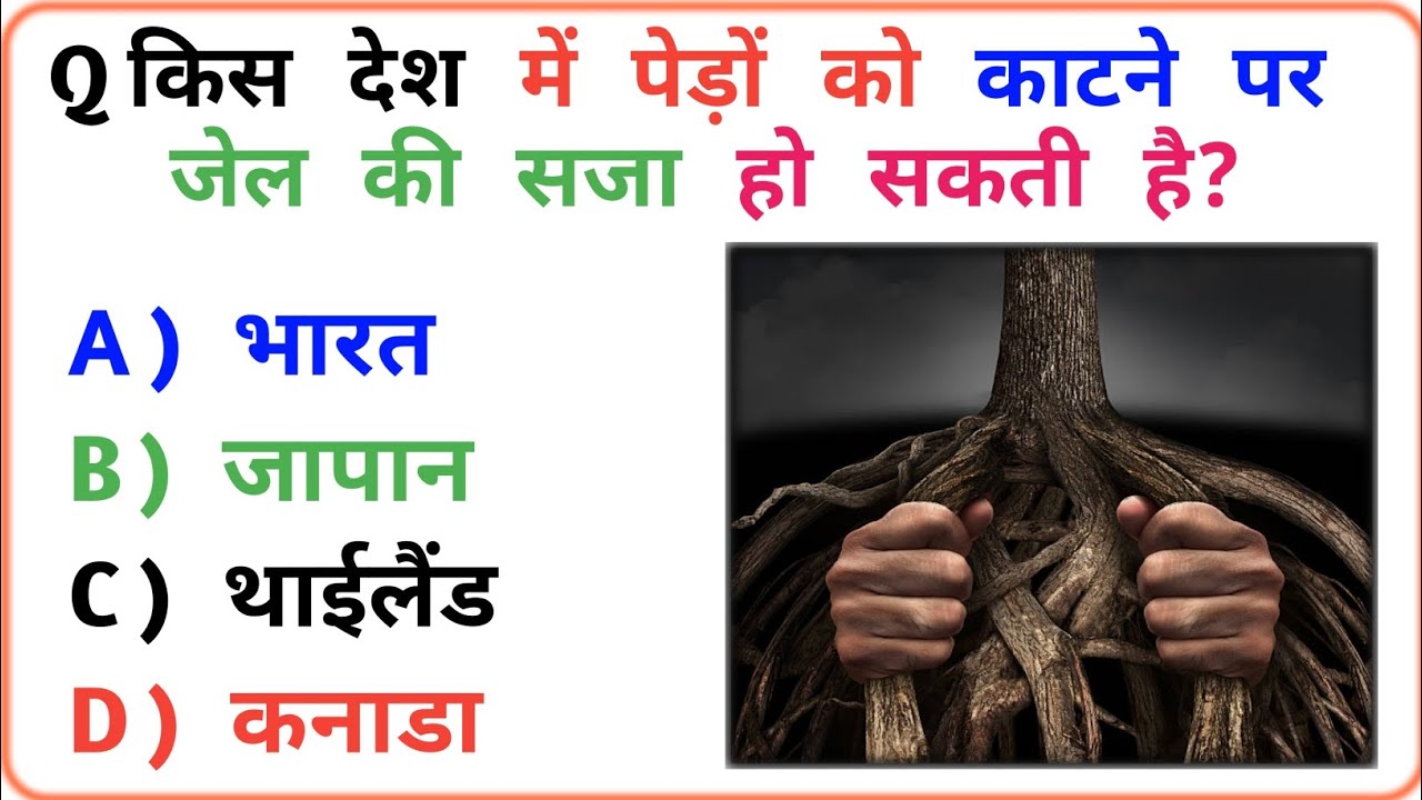 GK | GK Question Answer | GK in Hindi | Trending GK Top 10 | GK Quiz #generalknowledge #gkquiz #gk 