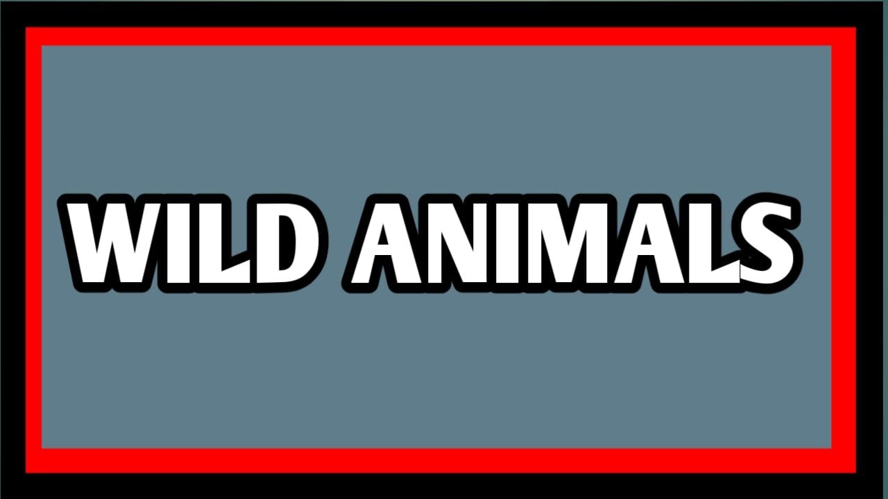 Take this 15 - questions on  wild animals and test your IQ!