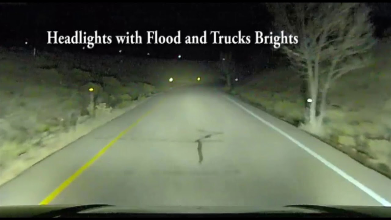 RigidLights