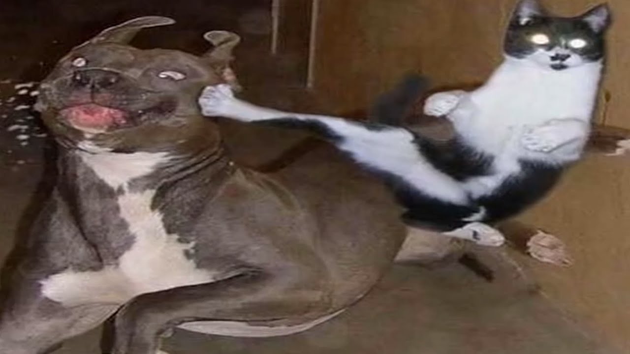 actually funny memes