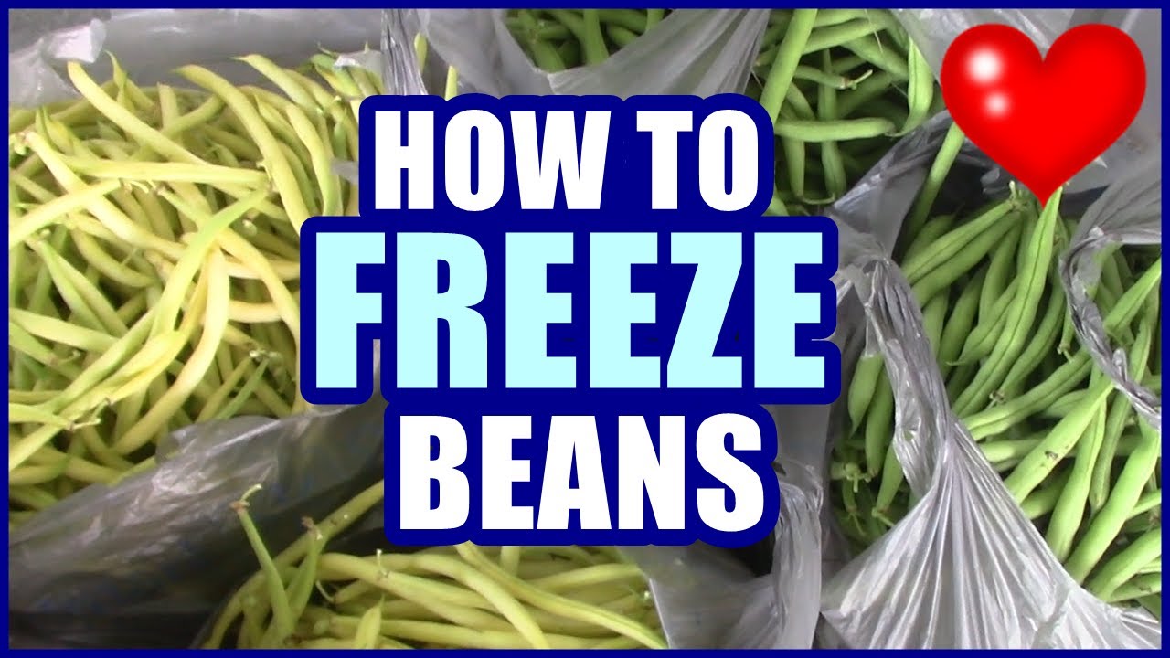 How To Freeze Green Beans | After The Harvest