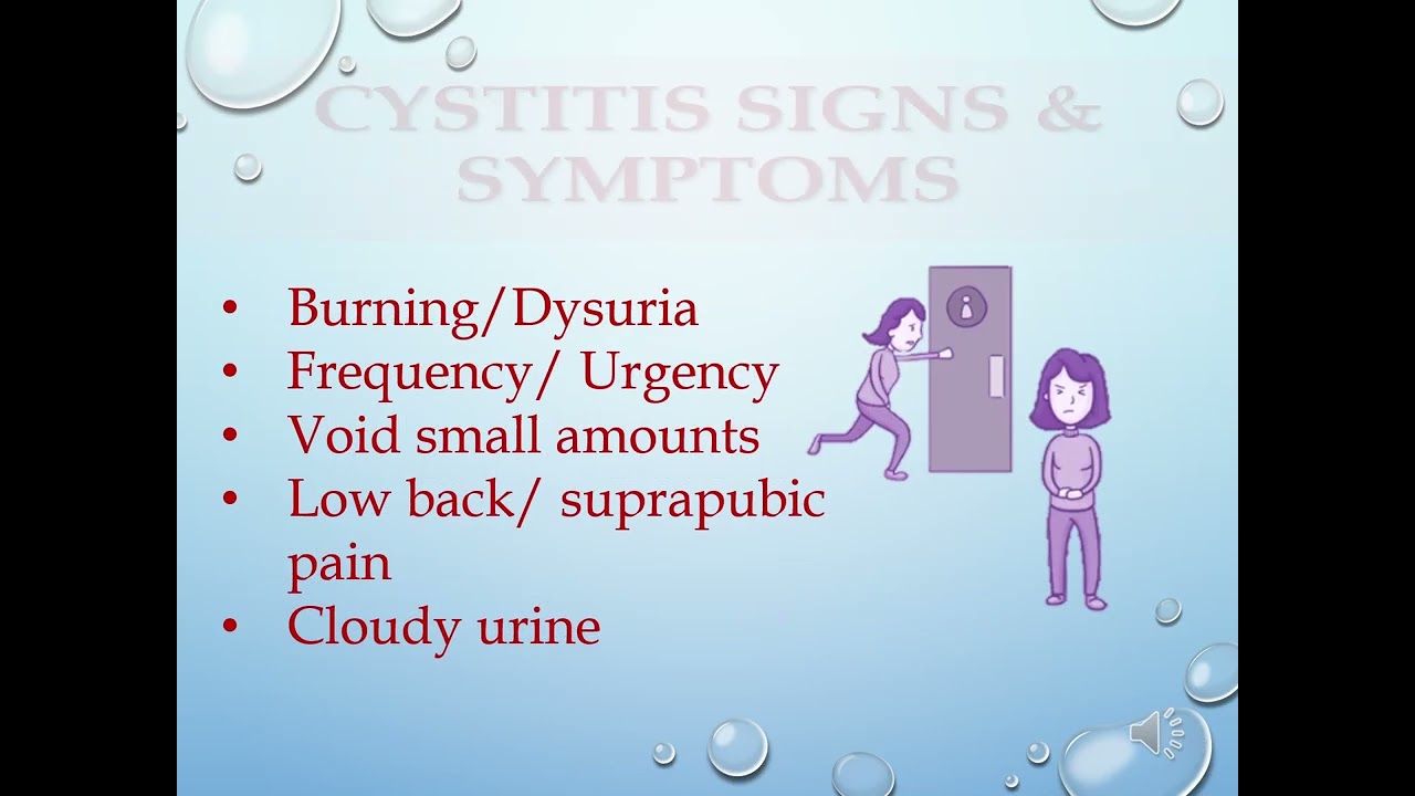 Week 7 Renal Stressors