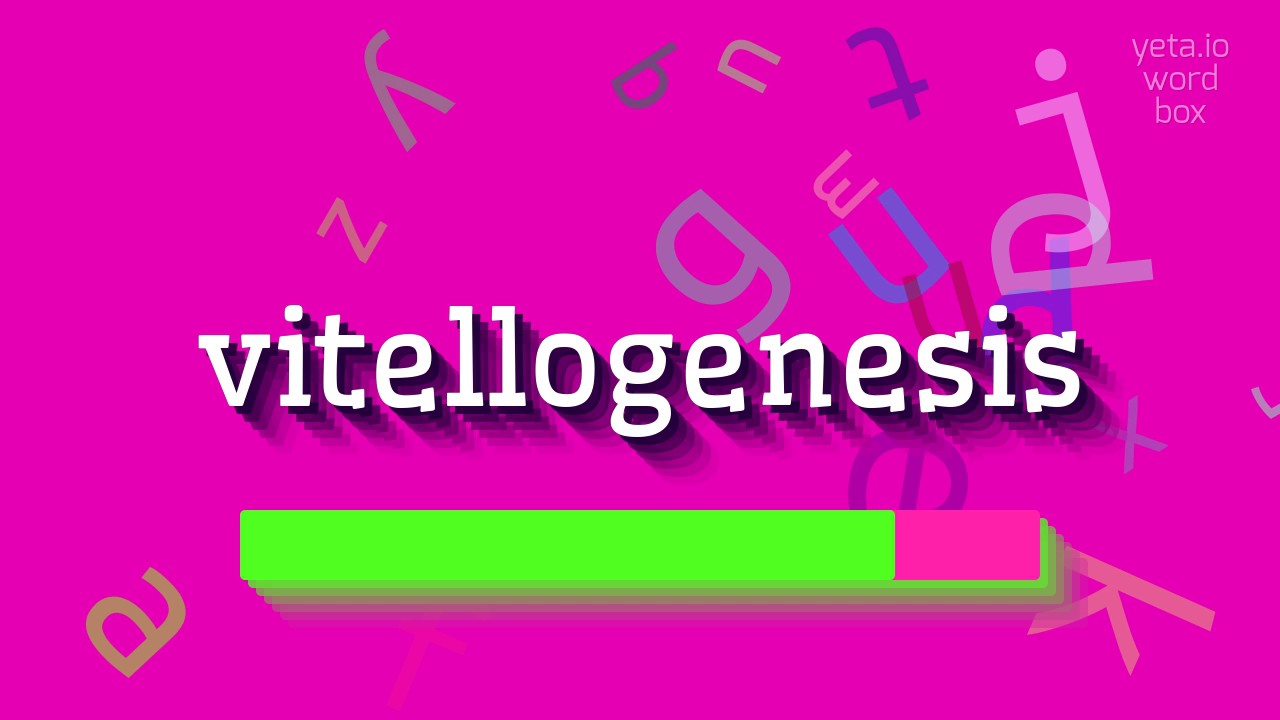 How to say "vitellogenesis"! (High Quality Voices)