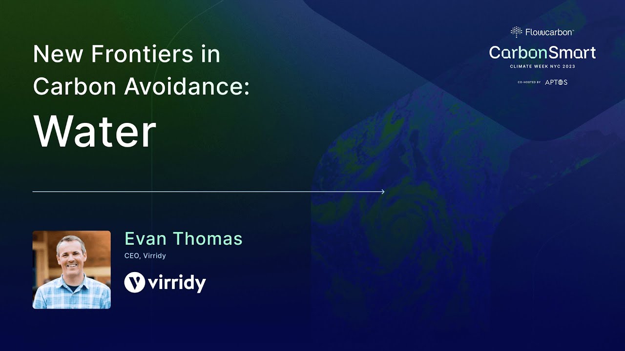 New Frontiers in Carbon Avoidance: Water
