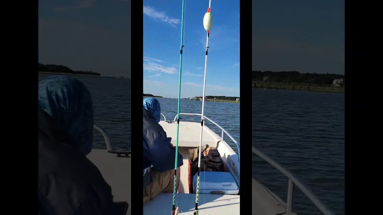 An adventure to Cape Romain National Wildlife Refuge and Bull Island S.C.