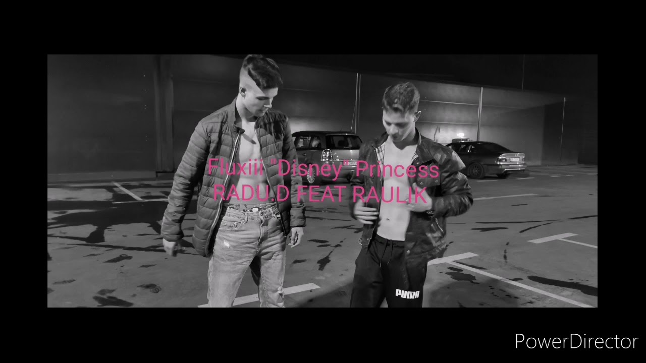 Radu.D ft. Raulik 💸DISSTRACK Grupul Fluxiii 