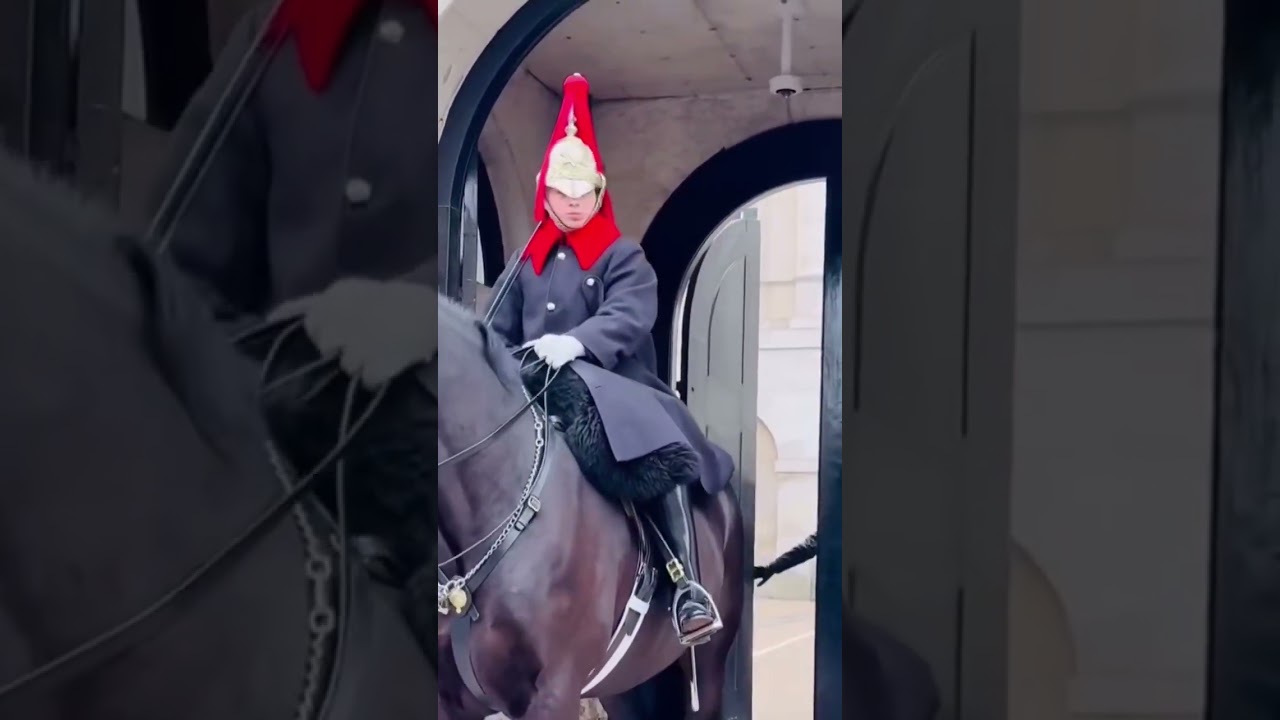 Masked man shows disrespect towards the King&rsquo;s Guard. #london