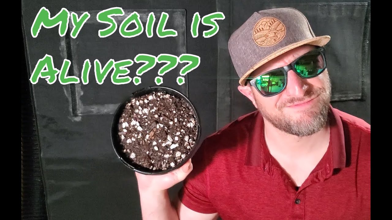How to Make Organic Potting Soil / Living Soil / Organic Cannabis / Grow Weed Easy