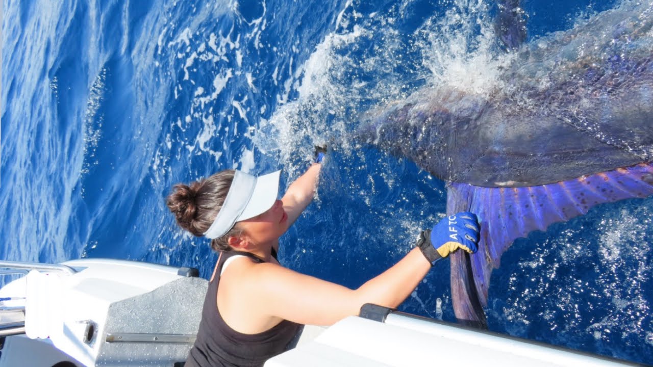 BIG STRIPE MARLIN at Secret Spot!!?