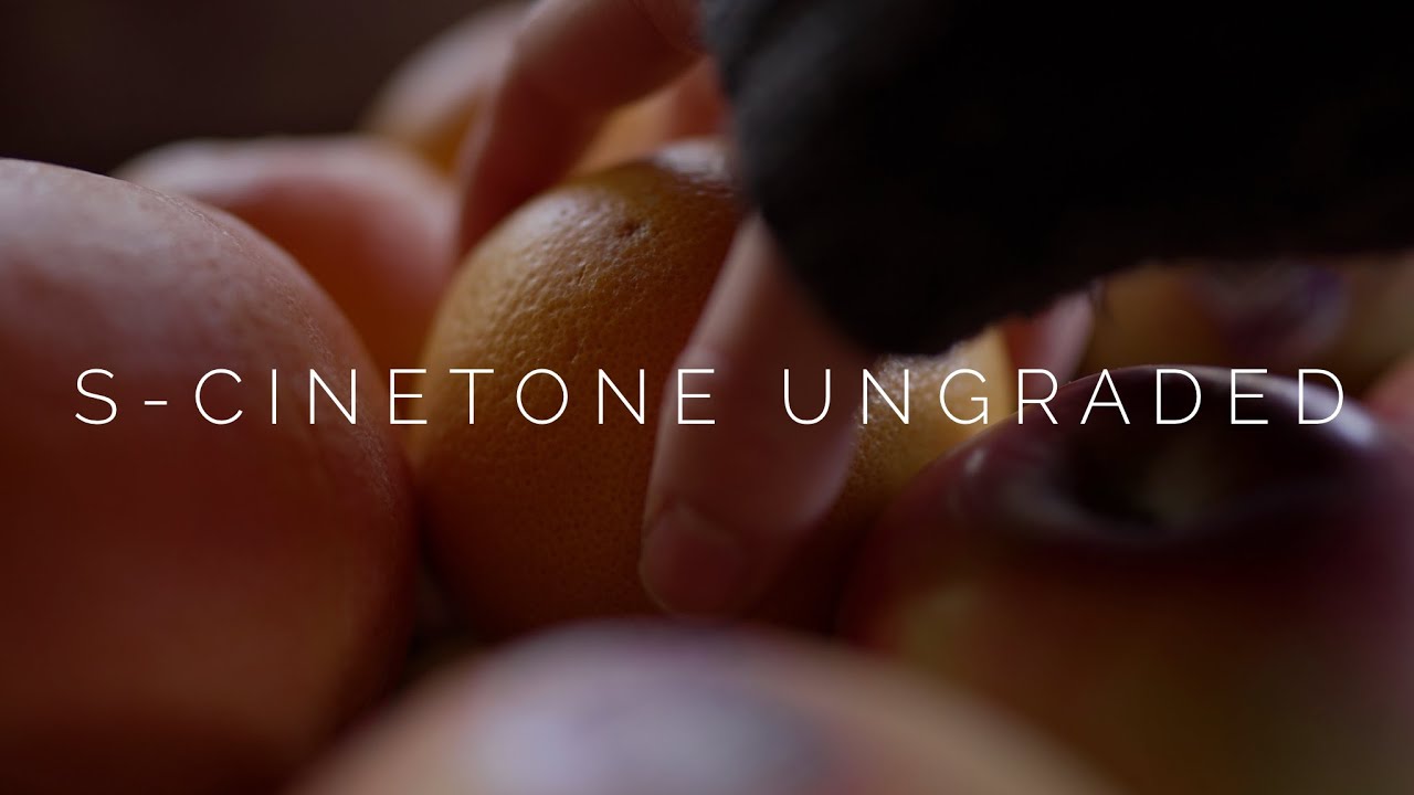 Sony A7SIII S Cinetone Test Footage (No Grade)