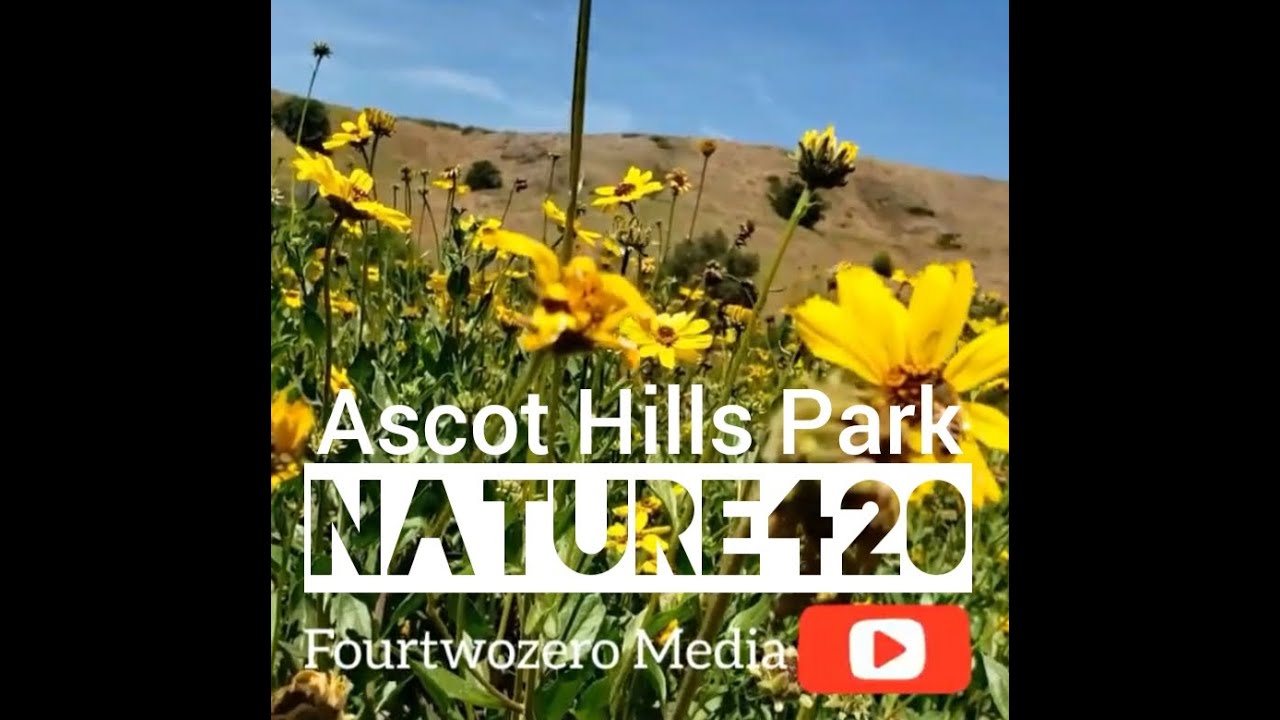 Nature420 with Pedro420 - Ascot Hills Park - Los Angeles California