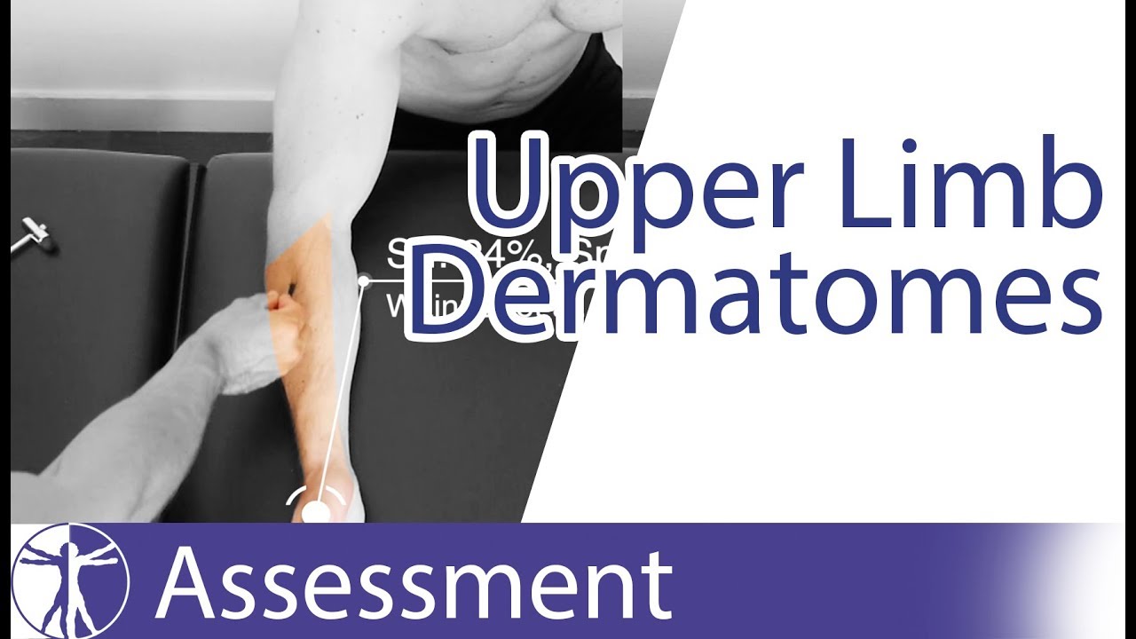 Dermatomes Upper Limb | Peripheral Neurological Examination