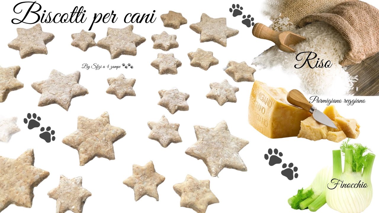 Biscotti genuini per cani riso finocchio e parmigiano-Genuine dog biscuits, fennel and parmesan rice