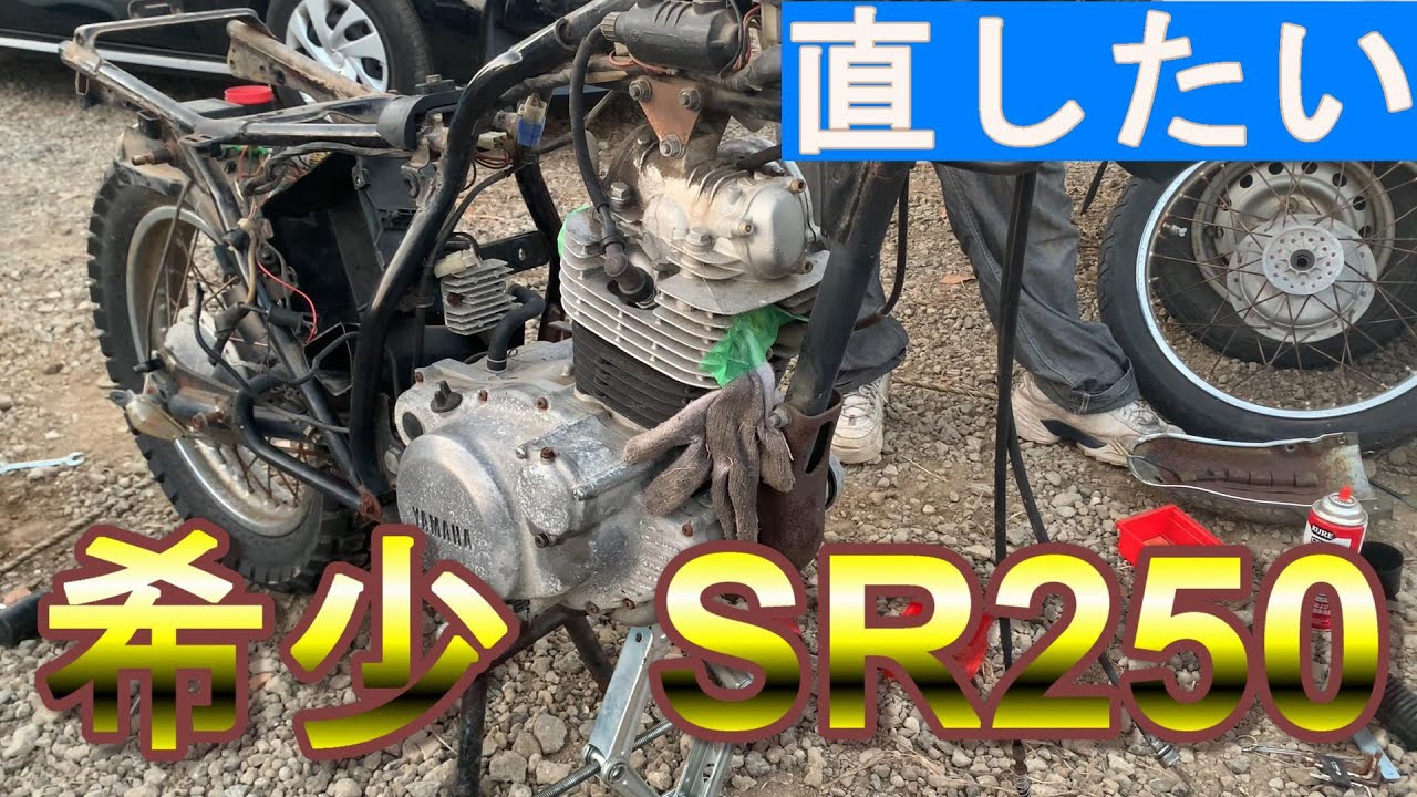 【希少】放置不動のSR250を蘇らせたいっ！！