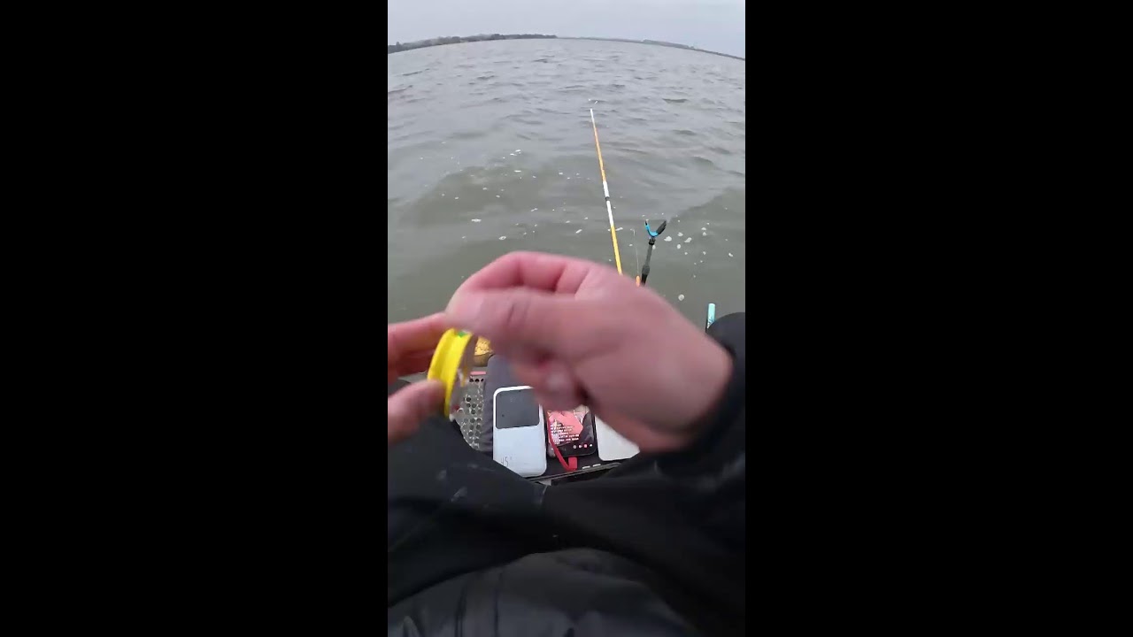 I’m chasing 200 fish today!! 💪