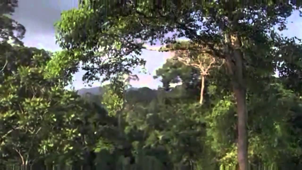 Sa ploua cu iubire - Chris