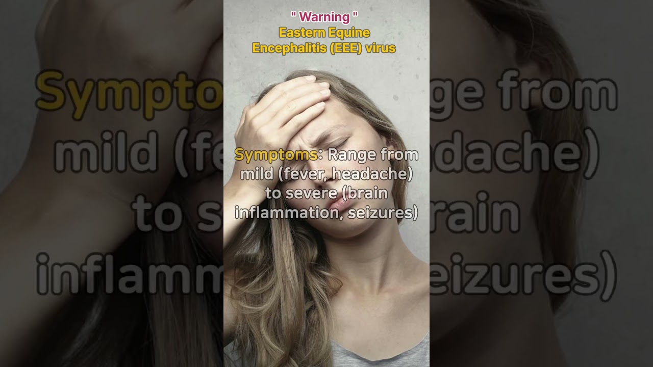 &ldquo;Warning&rdquo; Eastern Equine Encephalitis (EEE) Virus