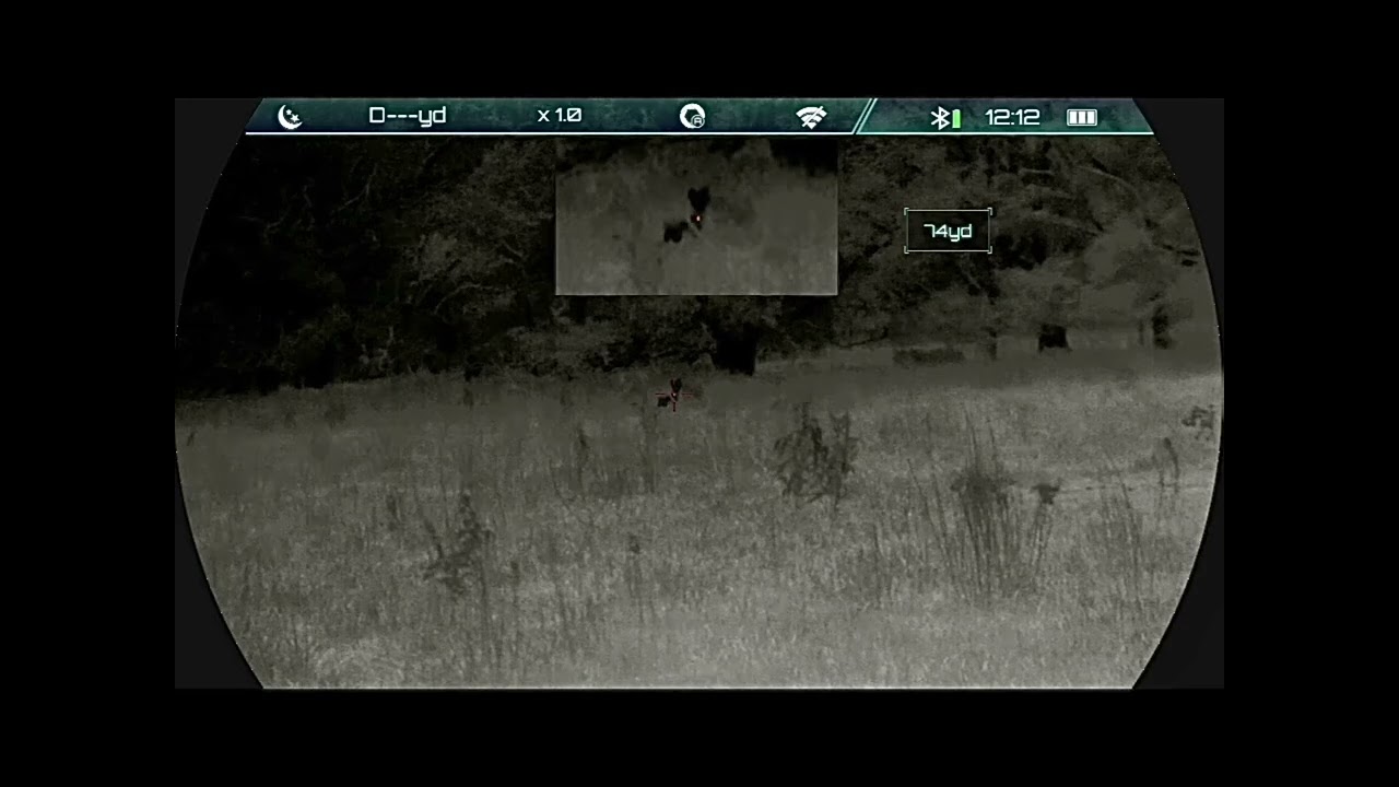 Thermal coyote and hog hunting with Rix leap and Iray Tx60c