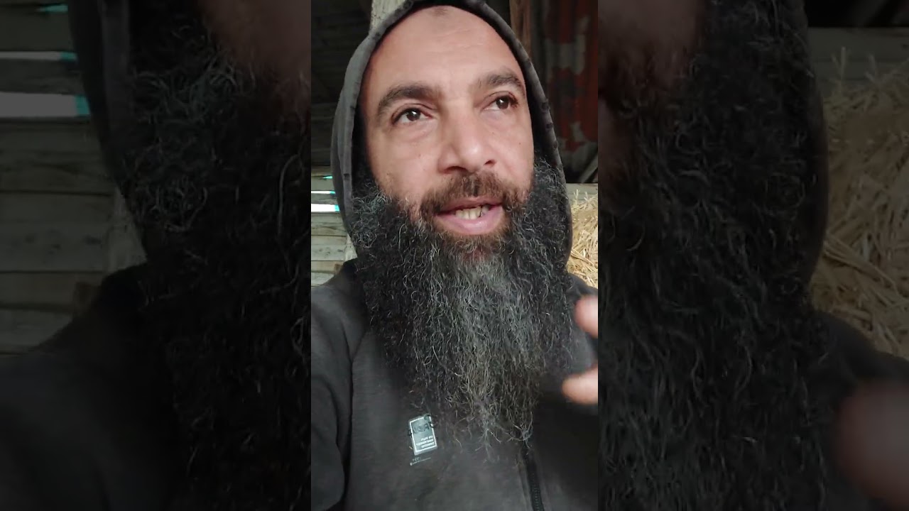 كيف نحقق 3دالمليوون ربح شهري من البيض البلدي 