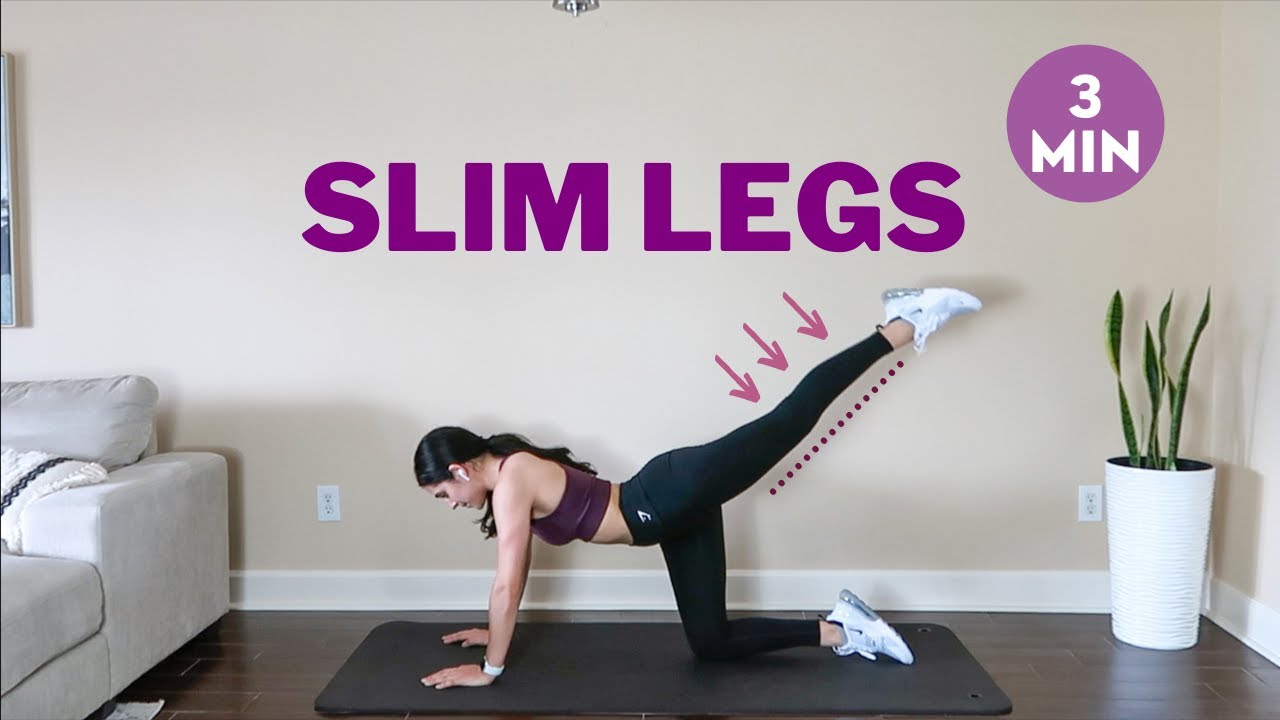 3 MIN SLIM LEGS WORKOUT! (No Equipment, No Jumping)