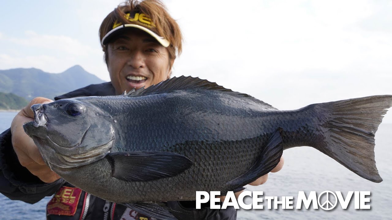 PEACE THE MOVIE #84「晩秋の鹿児島グレ攻略!!」九州地方・野間池の旅(前編)/平和卓也(1002)