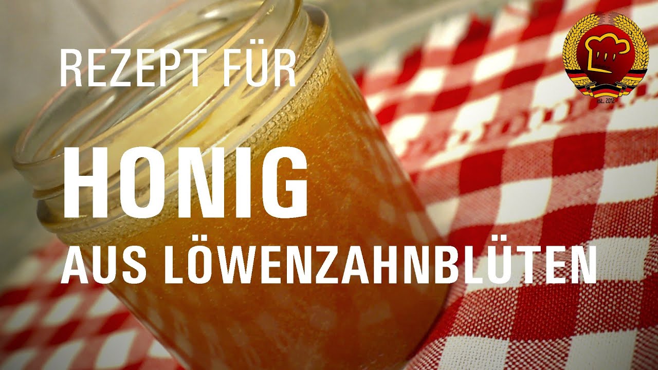 So machst du Honig aus L&ouml;wenzahnbl&uuml;ten (Butterblumen) selber nach altem DDR Rezept