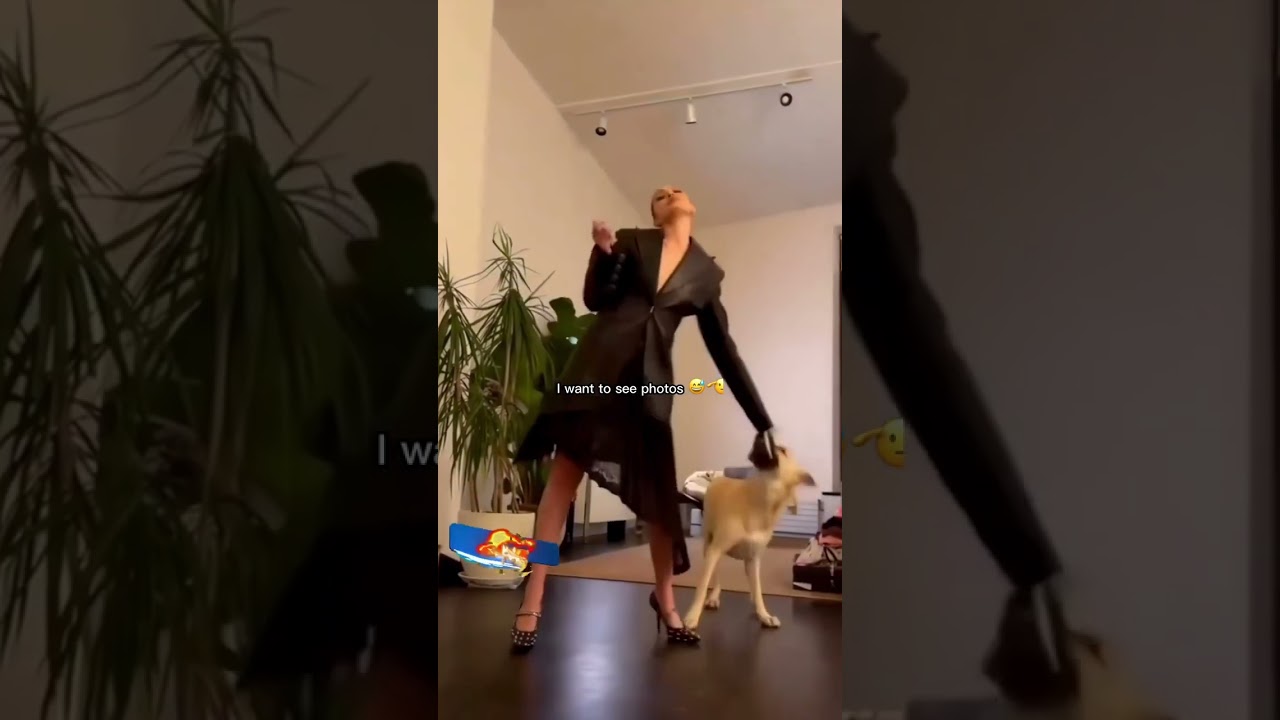 Gigi Hadid is 😅so real for this 🫡shoot with dog #gigihadid