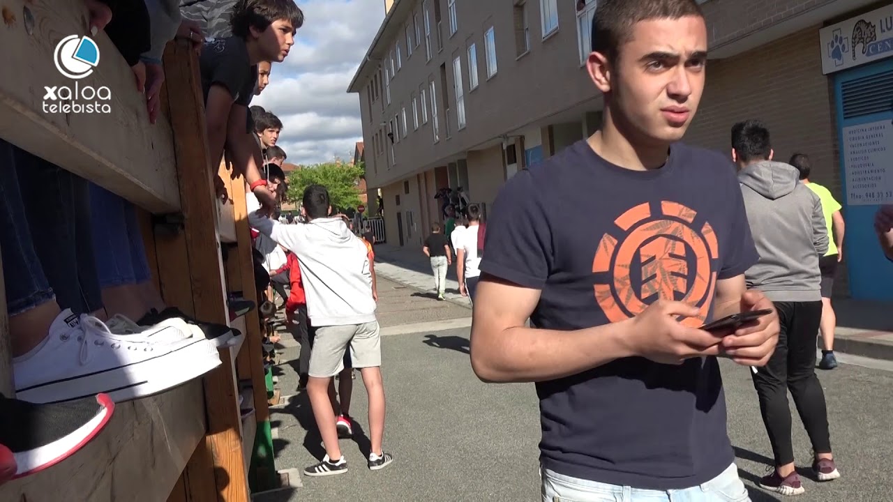 BESTAZ BESTA ORKOIEN 2019 06 21