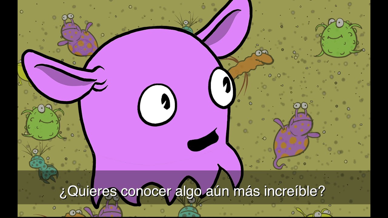 Las Aventuras de Zack y Molly - “Desde el Fondo del Océano y más Allá”