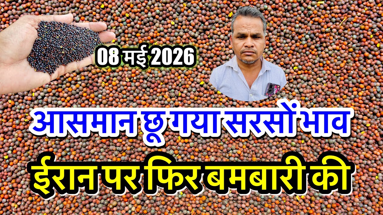 सरसों का भाव आसमान छू गया, सरसों में बम्पर तेजी का उछाल! सरसों का ताजा भाव आज अलवर मंडी #viralvideo 