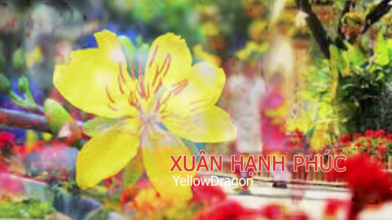 Xuân Hạnh Phúc |#xuan2026