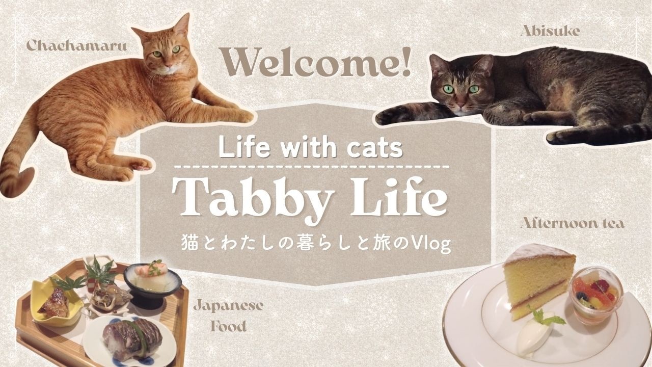 【Life with cats】40代夫婦の猫との暮らし｜日本橋ヌン活｜わたしがソロ旅にでる理由