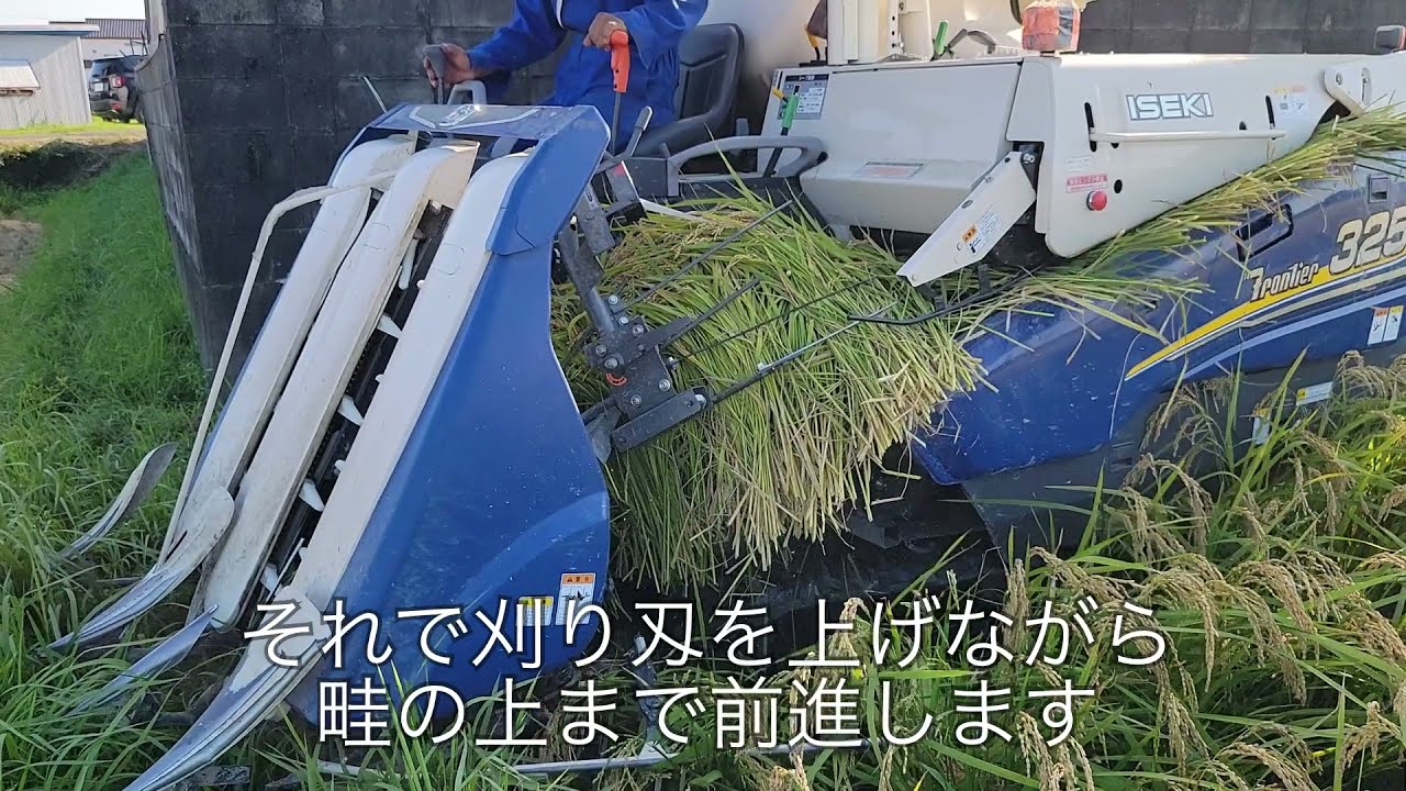 3条刈りコンバイン　手刈りなしで出来る