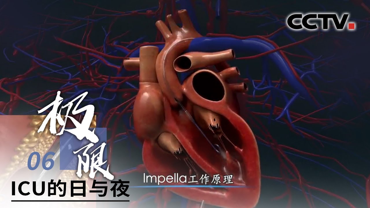 《ICU的日与夜》第六集 极限 | CCTV纪录