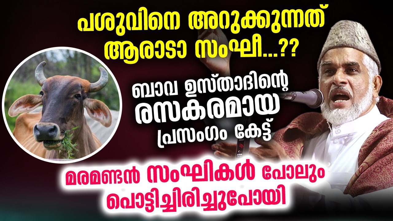 പശുവിനെ അറുക്കുന്നത് ആരാടാ സംഘീ..?? ബാവ ഉസ്താദിന്റെ രസകരമായ  ​പ്രസംഗം | Bava Moulavi New Speech 2021
