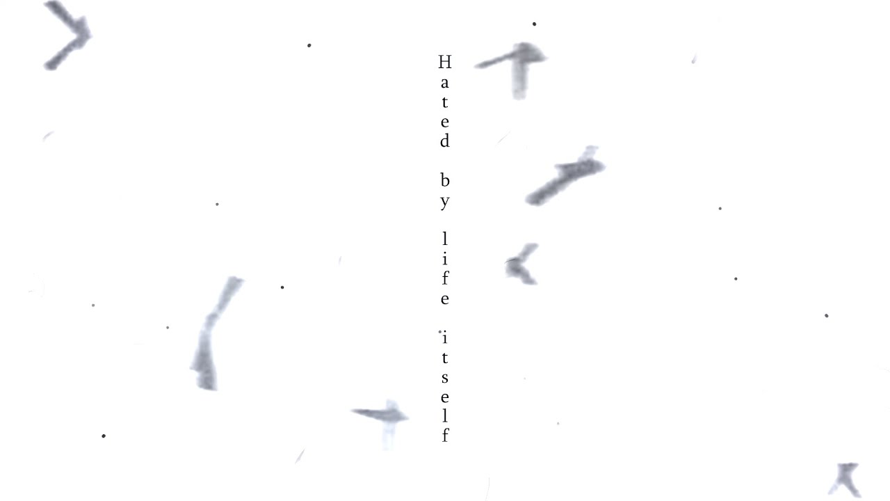 Hated by life itself _ english cover