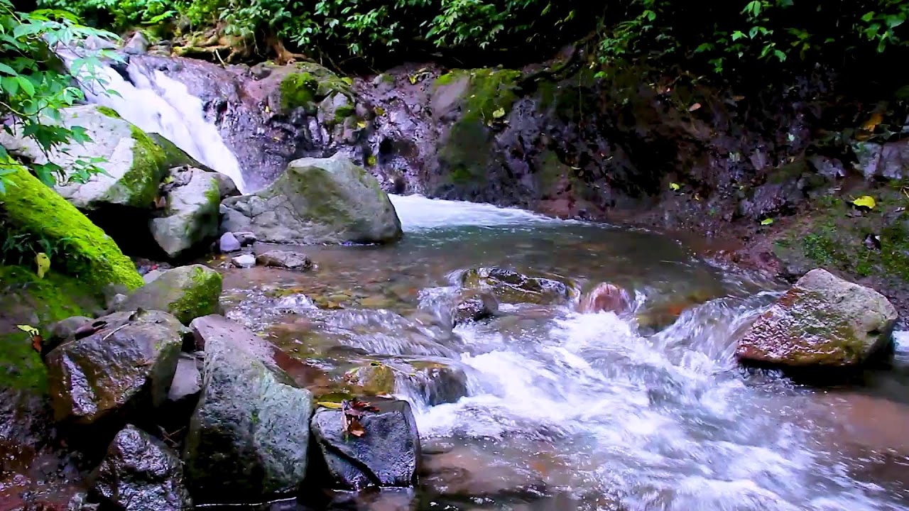 Peaceful Mountain River Sounds | Relaxing Water Ambience for Deep Sleep