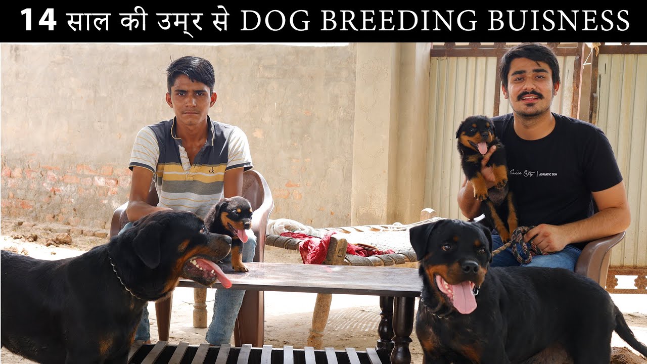 शौंक की कोई उम्र नहीं होती|Rottweiler Dog Kennel|Low budget Dog Breeding| Dog Farm|Dog Farm Business