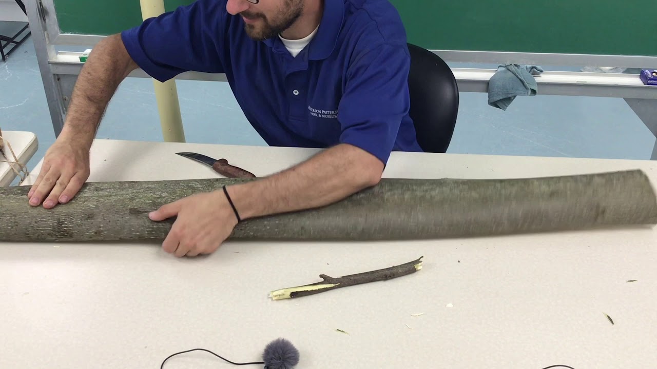 Lunchtime Learning- Poplar Bark Basket