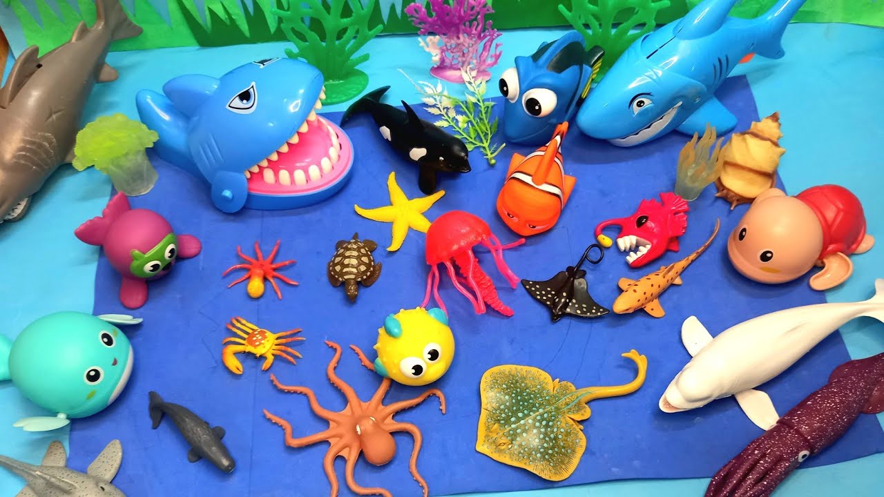 Sea Animal Toys For kids | Learn Vertebrate & Invertebrate Sea Animals Facts