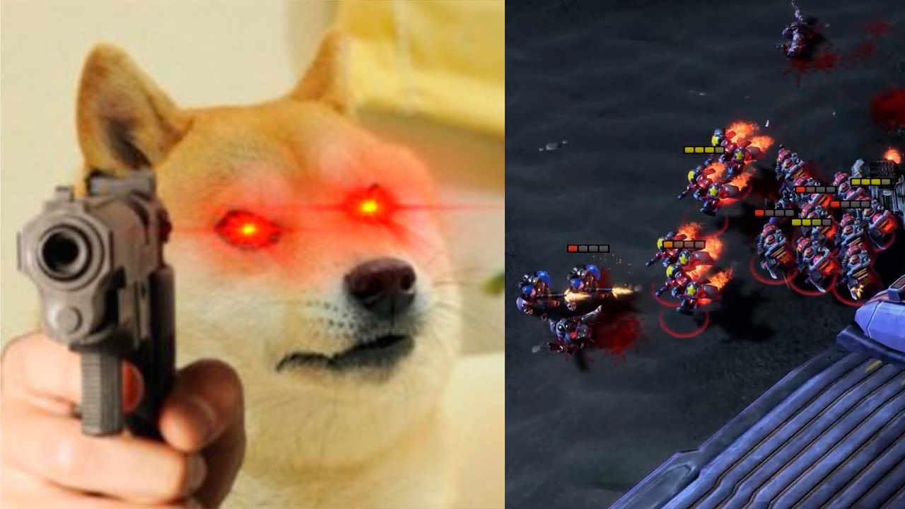 CALC: YA DUERMAN AL TERRAN