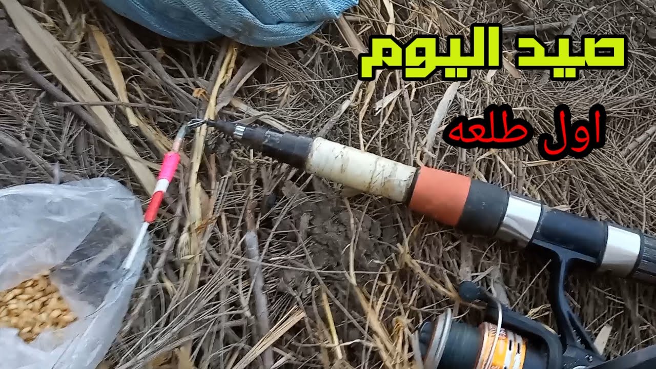 صيد اليوم من ترع الارياف  بالغله على دور عشوائي جرب مش حتخسر حاجه