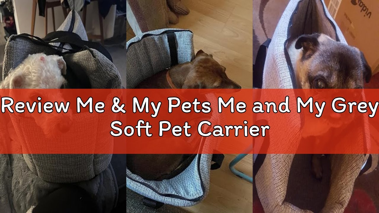 Review Me & My Pets Me and My Grey Soft Pet Carrier