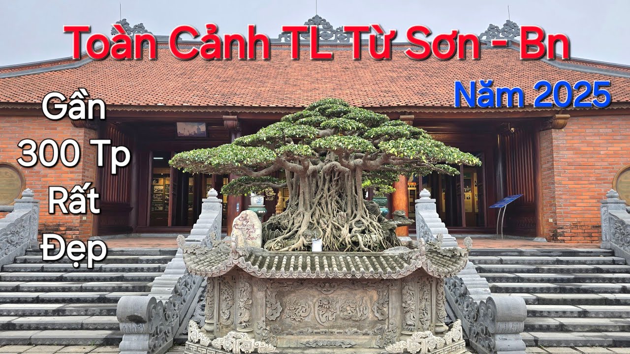 Tin Nhanh ! TOÀN CẢNH TL TỪ SƠN - BẮC NINH 2025 với QUY MÔ GẦN 300 TP ĐẸP & ĐẦY NGHỆ THUẬT .
