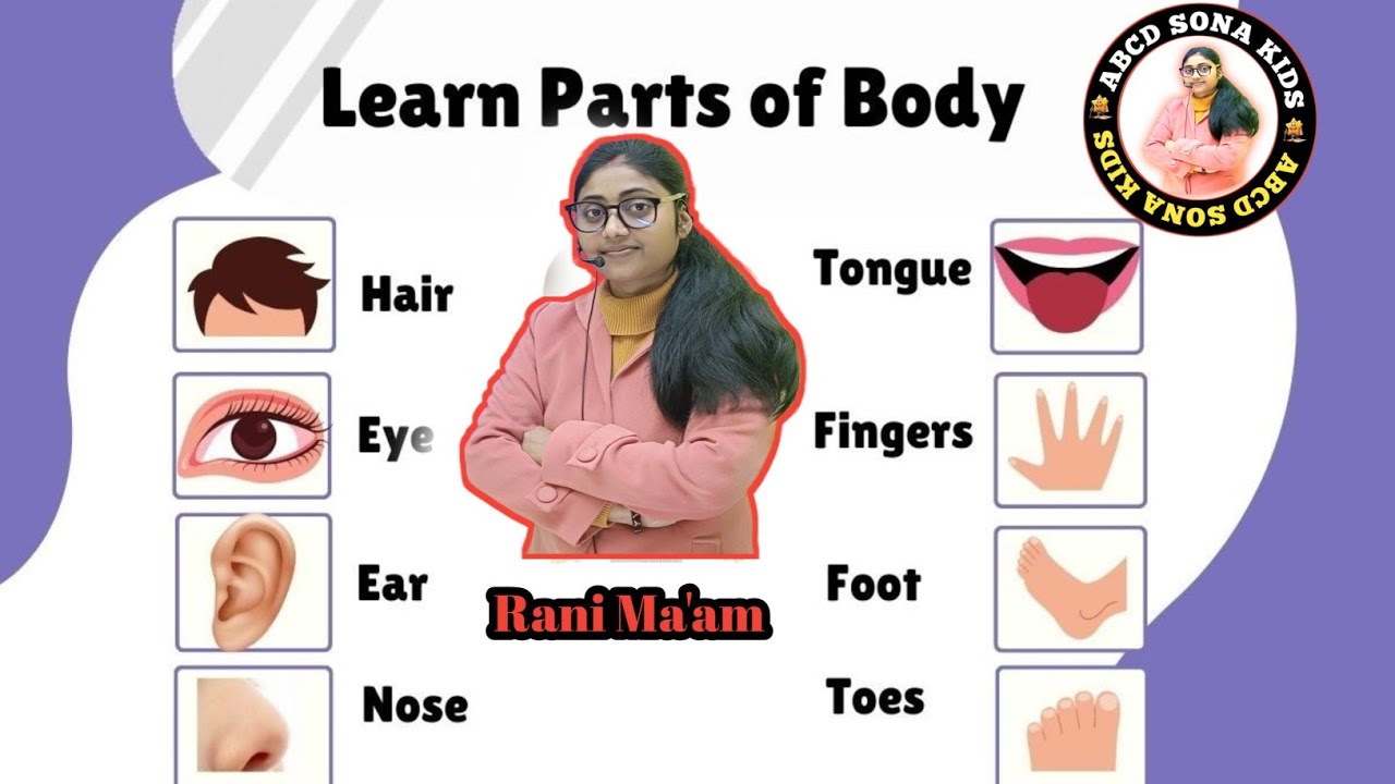 Body Parts Name for kids | Match the body Parts | शरीर के अंगों के नाम हिंदी और अंग्रेजी |Body 